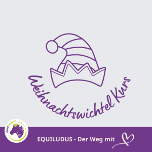 Erlebniskurs - Ein Weihnachtswichtel zieht ein